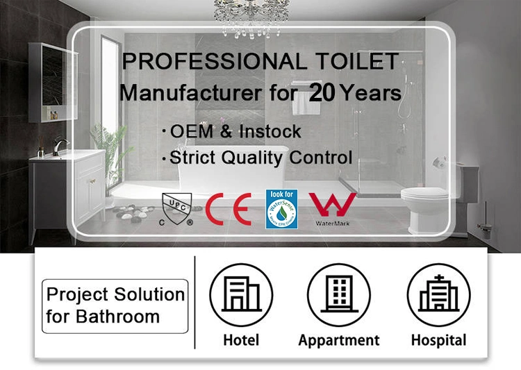 Wc Sanitary Ware Wall Hung Equipment Ceramic Modern Washing Room Macerating Commode Toilet