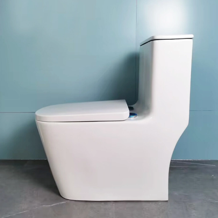 One Piece Wc India Upflush Tolet Seat Bathroom Bidet Toilet