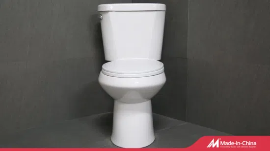 China Sanitary Ware The Top 10 Brands Guangzhou Upflush Made Toilet Set Sit