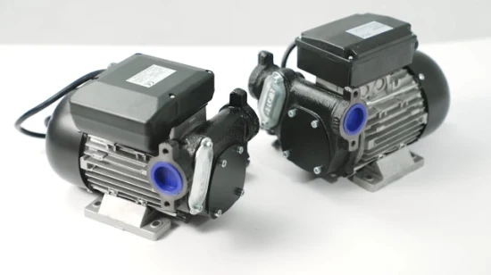 CE Certificate Fuel Transfer Pump Panther 72 AC Diesel Pump 220V 500W 1